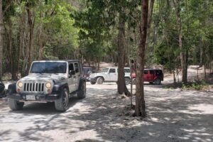 Cozumel Jeep Adventure to Jade Caverns with Lunch and Snorkel - Playa Chen Rio: A Virgin Beach Moment and Crocodile Ancho