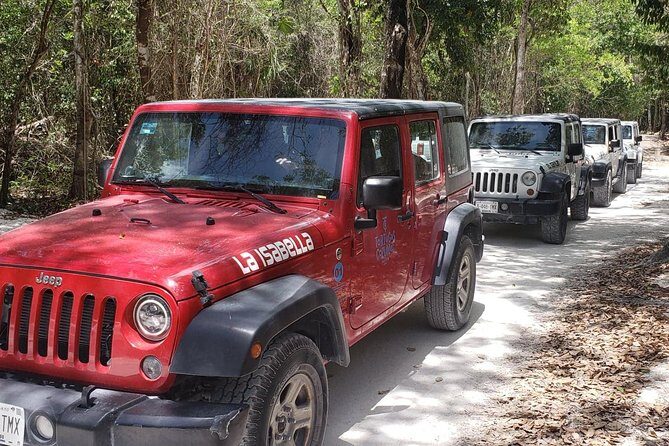 Cozumel Jeep Adventure to Jade Caverns with Lunch and Snorkel - Tortugas Beach Club: Lunch, Snorkel Gear, and Coral-Reef Time