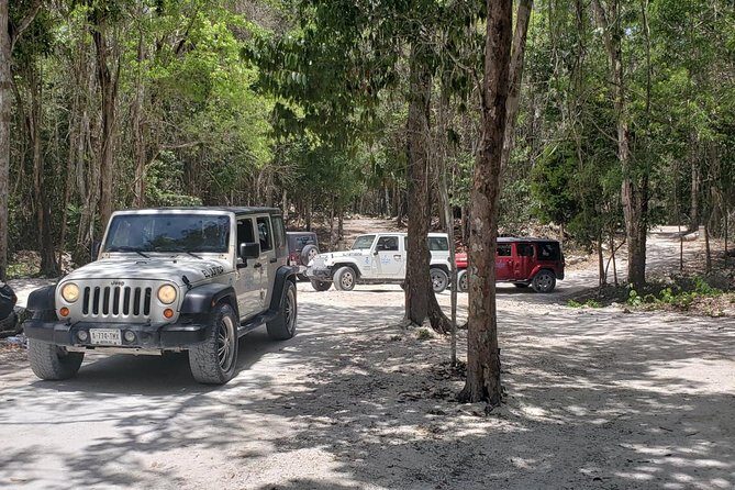Cozumel Jeep Adventure to Jade Caverns with Lunch and Snorkel - Playa Chen Rio: A Virgin Beach Moment and Crocodile Ancho