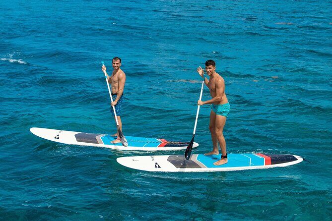 Cozumel Luxury Sailing & Snorkeling with Lunch and Open Bar Onboard - Price and the $30 ferry fee: value check