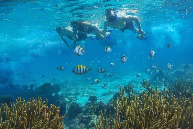 Cozumel Luxury Sailing & Snorkeling with Lunch and Open Bar Onboard - The best moments tend to be the crew