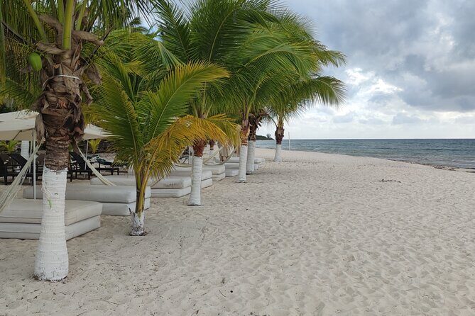 Cozumel Mayan Ruins and Beach Break - Zona Arqueológica San Gervasio cave structures: bats and geology