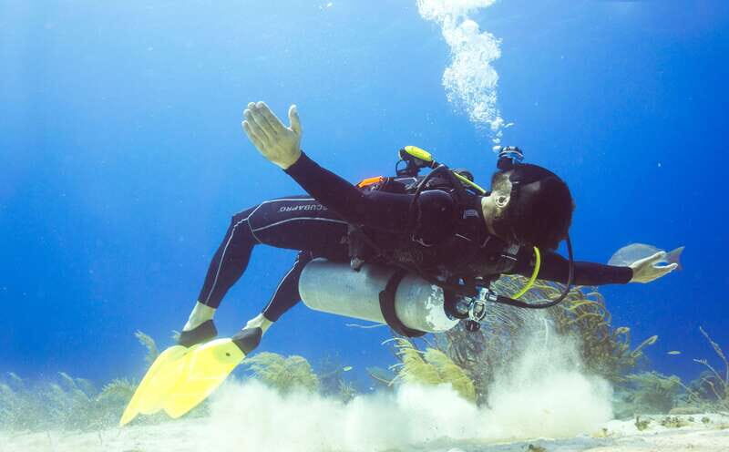 Cozumel: One Tank Scuba Dive and Full Chankanaab Park Access - Key Highlights You’ll Actually Feel