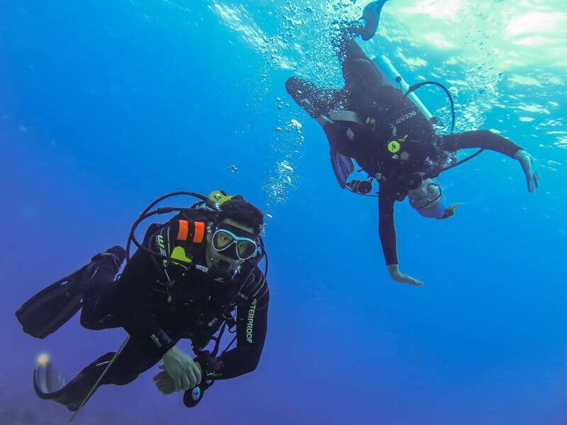 Cozumel: One Tank Scuba Dive and Full Chankanaab Park Access - Should you book this Chankanaab one-tank intro?