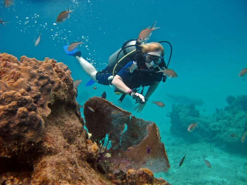 Cozumel: One Tank Scuba Dive and Full Chankanaab Park Access - The underwater route: caves, sculptures, and reef life