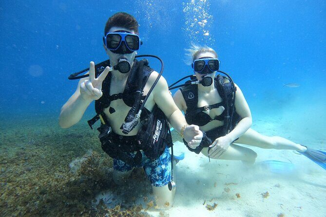 Cozumel Scuba Dive at Chankanaab - Stop 2: Chankanaab Reef—marine life, caves, and sculptures