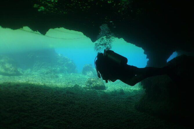 Cozumel Scuba Dive at Chankanaab - Stop 3: Parque Nacional Arrecifes de Cozumel—why a protected park matters