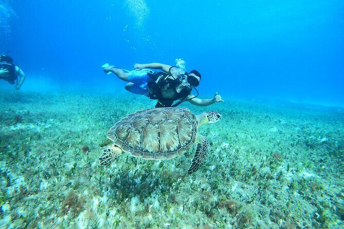 Cozumel Scuba Dive at Chankanaab - Stop 4: Balones of Chankanaab—ending with a named reef zone
