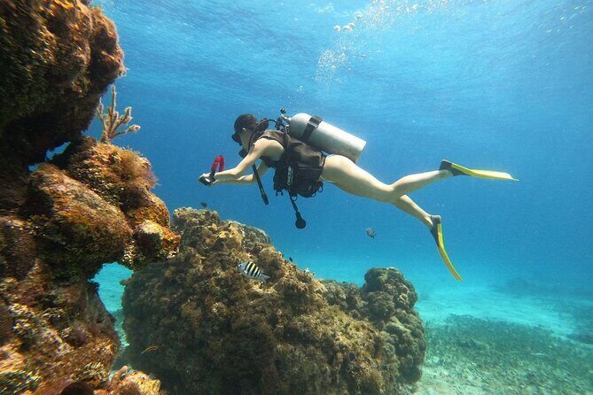 Cozumel Scuba Dive at Chankanaab - Stop 1: Chankanaab Adventure Beach Park (where you actually enjoy the time)