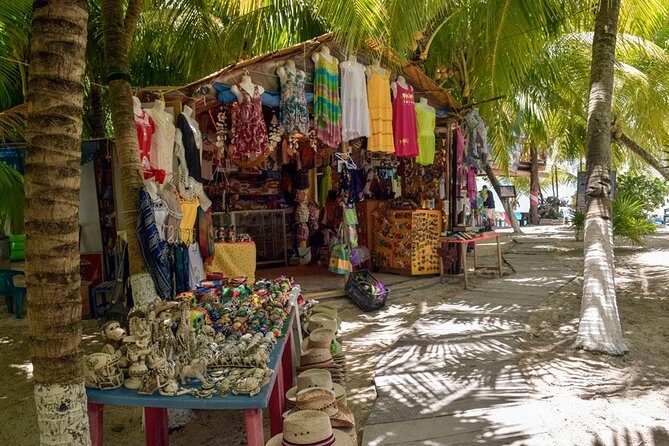 Cozumel Shore Excursion: 5-Hour Sightseeing Tour with Private Driver - San Gervasio Mayan ruins: Ixchel’s sacred site and commerce hub