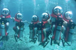 Cozumel Shore Excursion: Mini-SUB Diving Adventure - What You’ll See in Cozumel Waters (Fish, Coral, and Sea Life on the Route)