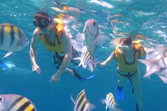 Cozumel Shore Excursion: Playa Uvas Private Beach Pass - Guided snorkeling (30 minutes): reef rules and real underwater sightings