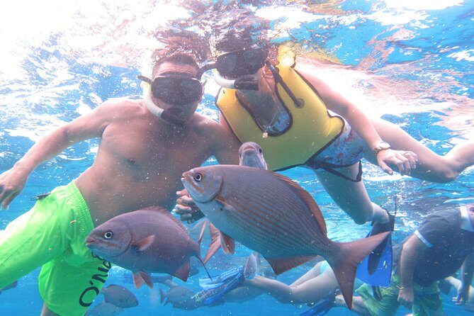 Cozumel Snorkeling Tour at Palancar & Colombia Reefs and El Cielo - Stop-by-stop: Playa El Cielo and the starfish-sandbar moment