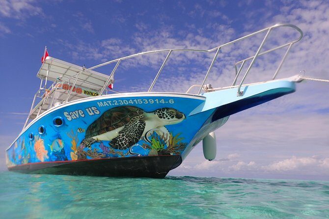 Cozumel Snorkeling Tour at Palancar & Colombia Reefs and El Cielo - Boat setup, snorkel gear, and the onboard food-and-drink rhythm