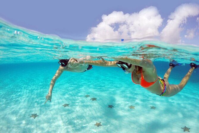 Cozumel Snorkeling Tour: Palancar, Columbia and El Cielo Reefs - Key Highlights You’ll Care About