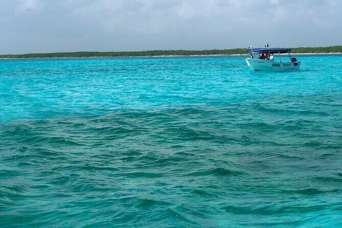 Cozumel Snorkeling Tour: Palancar, Columbia and El Cielo Reefs - Palancar and Columbia Reef: Why This Stops Set Works