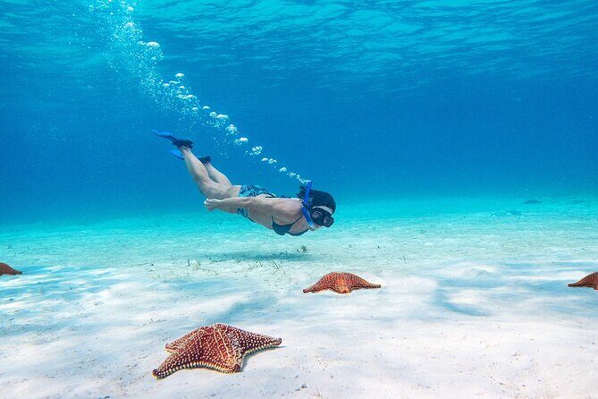 Cozumel Starfish and Tropical Reef Snorkeling by Powerboat with Lunch - Snorkeling Flow: Multiple Reef Spots, Different Depths, One Guided Plan