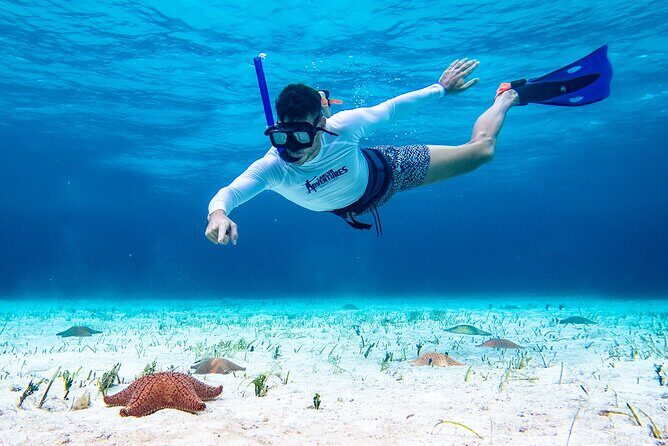 Cozumel Starfish and Tropical Reef Snorkeling by Powerboat with Lunch - Gear and Included Rash Guards: Packing Less, Smiling More