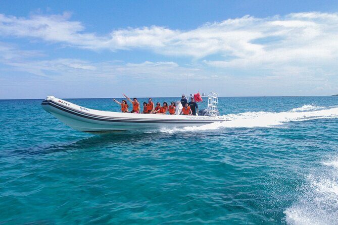 Cozumel Starfish and Tropical Reef Snorkeling by Powerboat with Lunch - Cancun Pickup and the Ferry Reality: Don’t Let Timing Trick You