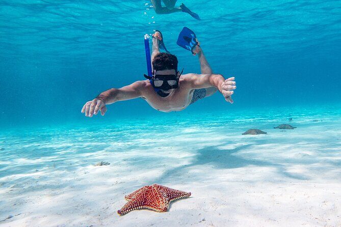 Cozumel Starfish and Tropical Reef Snorkeling by Powerboat with Lunch - El Cielo Starfish Stop: The Main Character Is Shallow and Calm