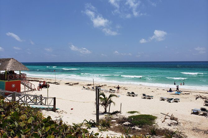 Customizable Private Buggy Tour in Cozumel with Lunch and Snorkel - Money Bar Beach Club: Lunch Options, Facilities, and the Best Snorkel Slot