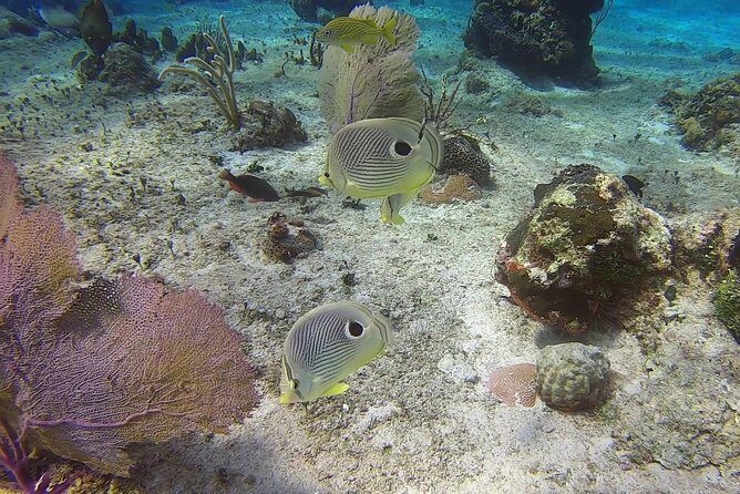 Discover Scuba Diving - Photos, Cameras, and That One Missing Picture