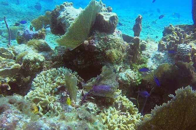 Discover Scuba Diving - Should You Book This Discover Scuba Program?