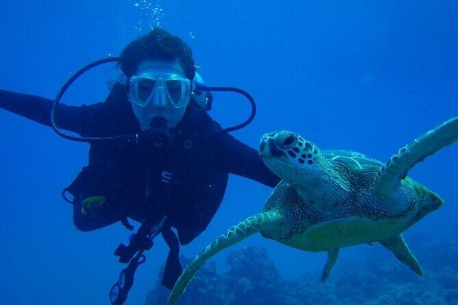 Discover Scuba Diving & Beach Club with Transportation In Riviera Maya - Maroma’s “extra costs” you’ll want to know about early
