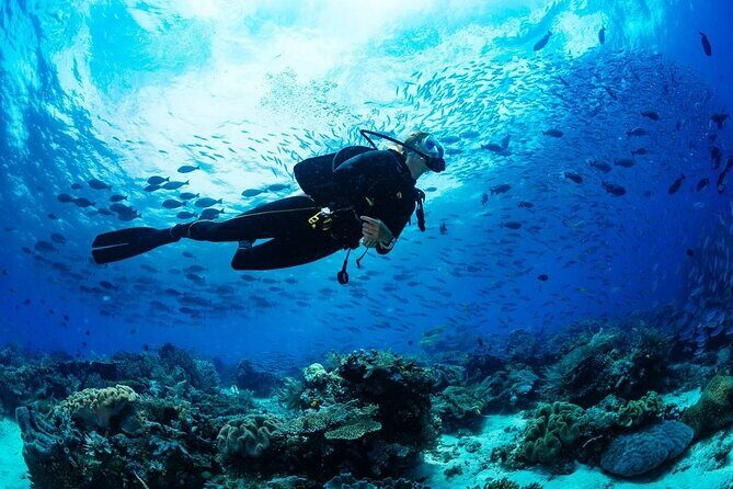 Discover Scuba Diving & Beach Club with Transportation In Riviera Maya - Instructor style: why the calm matters on a first session