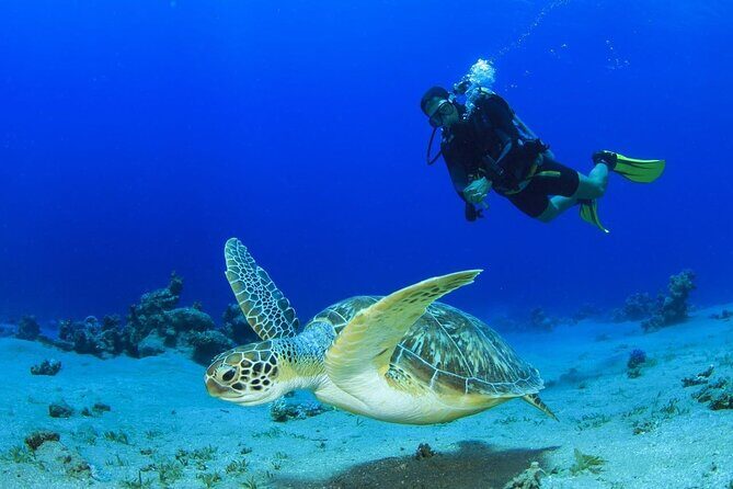 Discover Scuba Diving & Beach Club with Transportation In Riviera Maya - Maroma Beach: why the location works so well