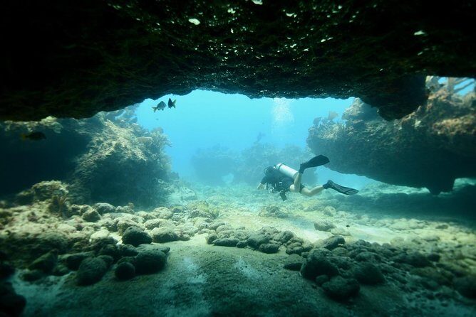 Discover Scuba Diving in Tulum - A first scuba lesson that starts simple (and stays supervised)