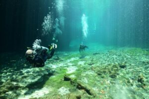 Discover Scuba Diving in Tulum - The 30-minute basics class: what you’ll learn before you’re in the water