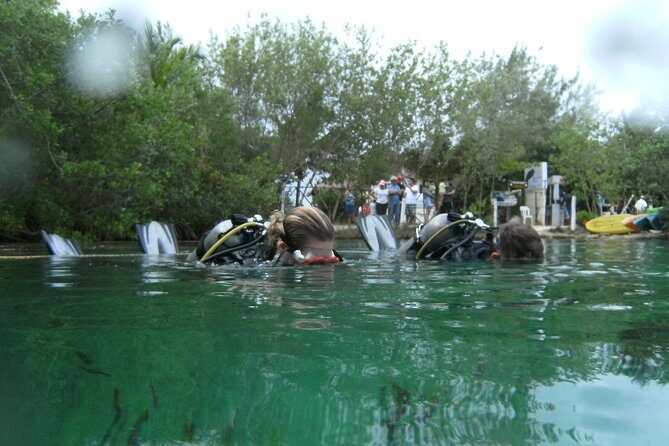 Discover Scuba Diving in Tulum - Guides can make or break a first-timer day