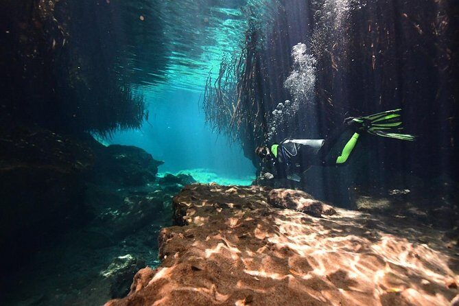 Discover Scuba Diving in Tulum - Getting there: meeting point and what your morning needs