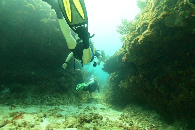 Discover Scuba Diving in Tulum - Who this tour fits best (and who might want a different plan)