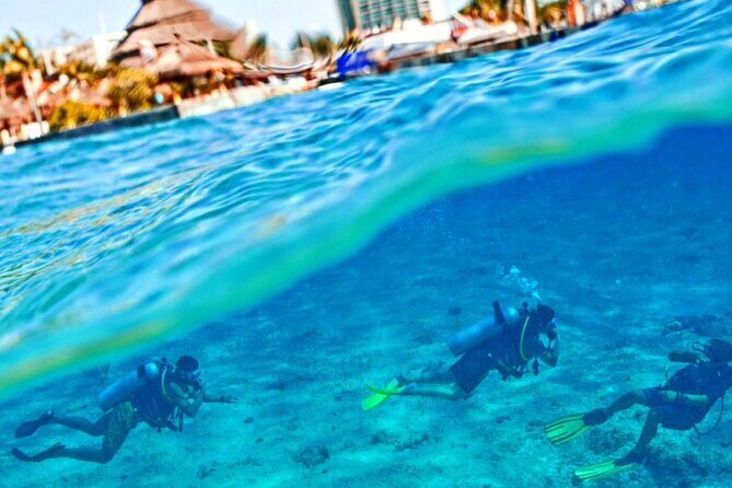 Discover Scuba Diving - From Shallow Practice to Reef Time: Your 2.5-Hour Flow