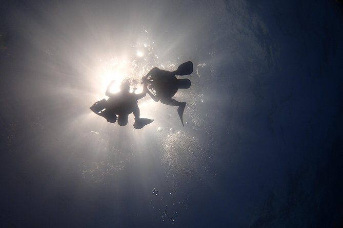 Diving in the Mexican Caribbean for Beginners | 2 Tanks 2 Dives | All Inclusive - Boat Ride Out to the Sites and the Buoy-Down Setup
