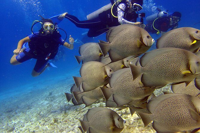 Diving in the Mexican Caribbean for Beginners | 2 Tanks 2 Dives | All Inclusive - Stop 1: MUSA Underwater Museum and the 33 ft / 10 m Water Session