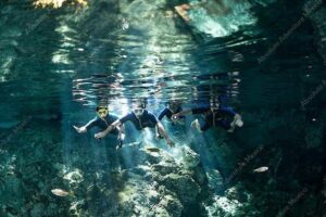 Dos Ojos Cenote VIP Private Tour – Snorkeling & Mayan Lunch - Private pickup and timing: the real value of going early