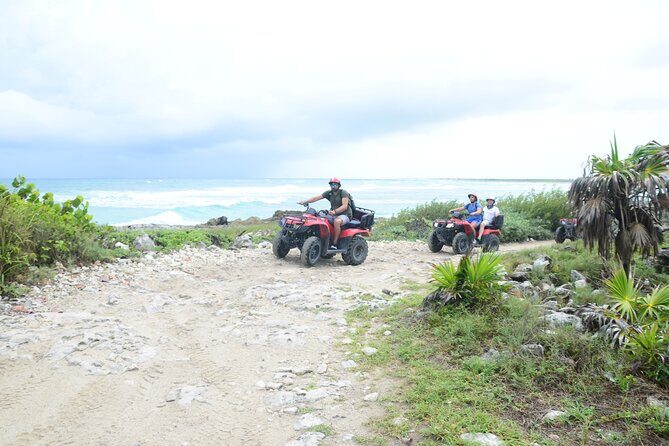 Double Atv Tour In Cozumel And Cenote Jade - Stop 3: Jade Cenote, the jungle approach, and bat cave moments
