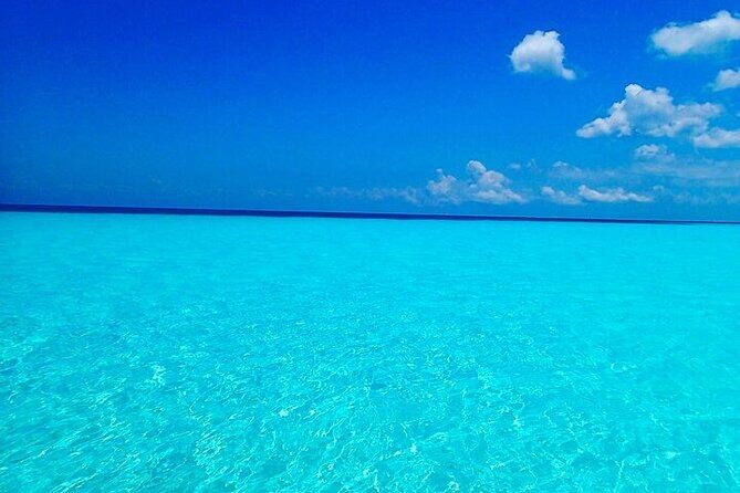 El Cielo Cozumel Snorkeling Tour - All-Inclusive - Stop 1: Palancar Reef for the Main Snorkeling Time