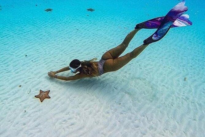 El Cielo Cozumel Snorkeling Tour - All-Inclusive - Stop 2: Playa El Cielo Sandbar for Calm Water and the Best View Hour