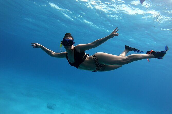 El Cielo Cozumel Snorkeling tour by Private Boat - Private-Boat Cozumel: Why This Feels Less Chaotic