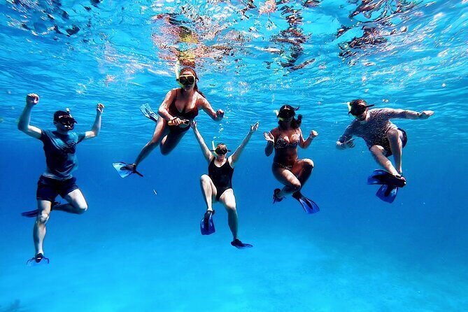 El Cielo Cozumel Snorkeling tour by Private Boat - Snorkeling Time, Boat Comfort, and the Food Break