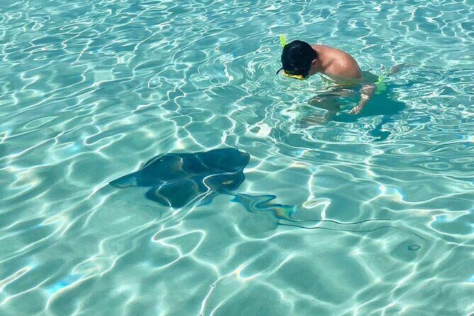 El Cielo Cozumel Snorkeling tour by Private Boat - Best For: Who Should Book This El Cielo Private Boat Tour