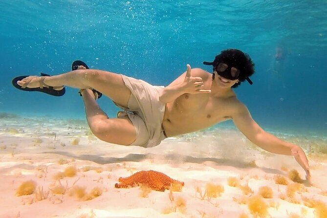 El Cielo Cozumel Snorkeling tour by Private Boat - Should You Book This Private Boat El Cielo Tour?