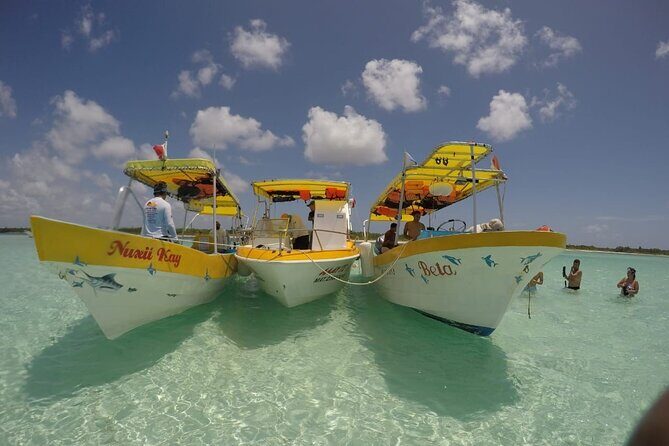 El Cielo Cozumel Snorkeling tour by Private Boat - Where You Meet and How Cruise-Friendly This Really Is