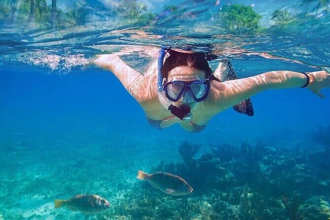 Exotik half a day tour: Cenote Cave and Swimming with Sea Turtles - Gear, rules, and what to pack so you don’t waste time