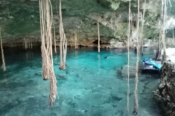 Five Cenotes Jungle Experience in the Riviera Maya - Why These Five Cenotes Feel More Like a Quiet Day in the Jungle