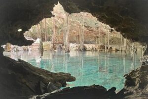 Five Cenotes Jungle Experience in the Riviera Maya - Price and What You Really Get for $149 in Playa del Carmen